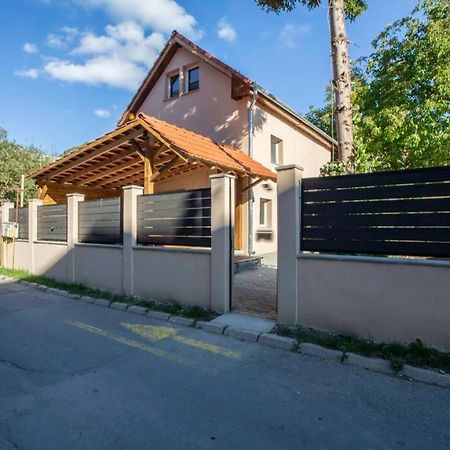 Casa Sonia Sighisoara Sighişoara Exterior foto